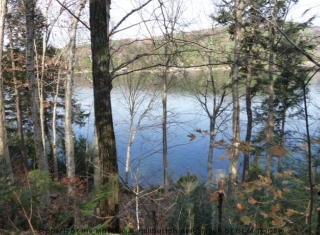 4 FOXY LANE, Dorset Ontario, Canada Located on Kawagama Lake