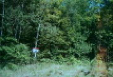 lake forest drive, McDougall Ontario, Canada