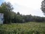 lake forest drive, McDougall Ontario, Canada