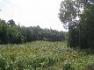 lake forest drive, McDougall Ontario, Canada