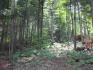 405 Bowers Point Rd, Herschel Ontario