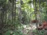 405 Bowers Point Rd, Herschel Ontario