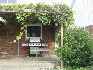 35 lysanda av, London Ontario, Canada