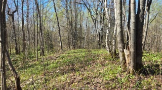 lot 6 con 3 rabbit trail road, Warren Ontario, Canada
