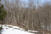 63 blairs landning rd, Carling Ontario, Canada