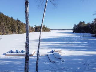 321 antelope trail, Apsley Ontario, Canada