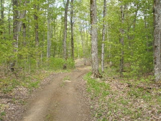 654 old apsley rd, North Kawartha 