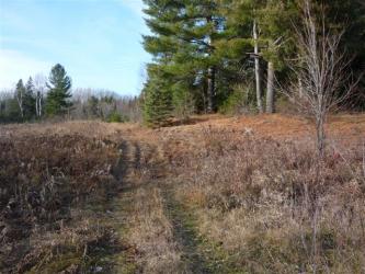 74 thibadeau, Bancroft York River