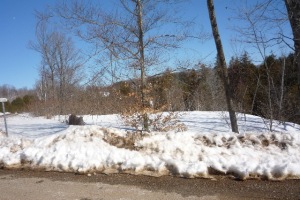 finn point rd., Cardiff Paudash Lake