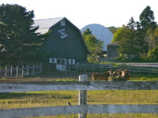 365 maki rd, Sault Ste. Marie Ontario, Canada
