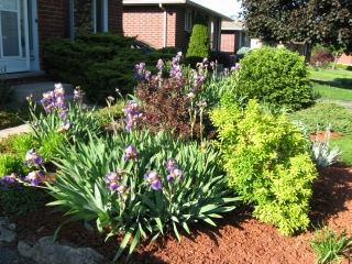 36 portsmouth rd, London Ontario, Canada