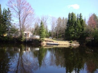 Fenelon Falls Burnt River