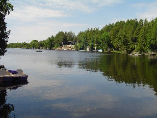 14 wychwood dr east, Fenelon Falls Ontario, Canada Located on Sturgeon Lake
