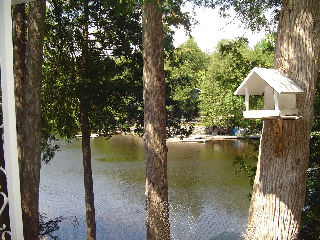 14 wychwood dr east, Fenelon Falls Ontario, Canada Located on Sturgeon Lake