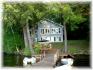 85 gilmour point rd, Apsley Ontario, Canada Located on Chandos Lake