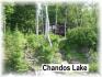 263 doc evans rd, Apsley Ontario, Canada Located on Chandos Lake