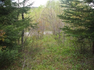 lot u-1 route 820, Titusville New Brunswick, Canada