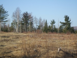 - lakefield rd, Sussex New Brunswick, Canada