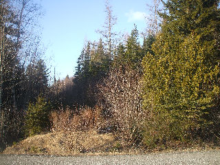 860 titusville rd, Upham New Brunswick, Canada