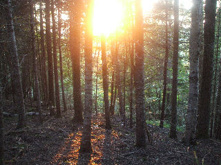 - Back River Rd, Barnesville Maryland