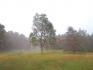 2722 Old Hastings Rd, Limerick Ontario