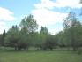 2722 Old Hastings Rd, Limerick Ontario