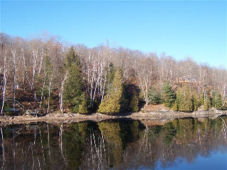 1603 claude brown rd, Minden Ontario, Canada Located on Big Bob Lake