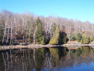 1603 claude brown rd, Minden Ontario, Canada Located on Big Bob Lake