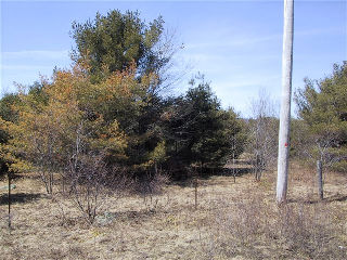 st peters rd, Carnarvon Ontario, Canada