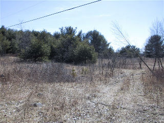 st peters rd, Carnarvon Ontario, Canada