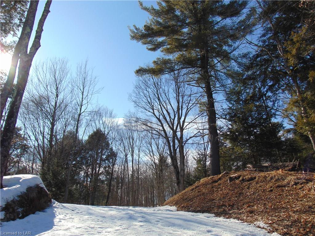 35 highway, Minden Ontario, Canada