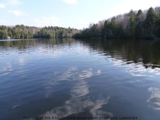 1242 bat lake rd, Minden Ontario, Canada Located on Canning Lake
