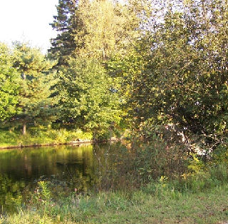 Click Here to View Additional Neighbourhood Information
