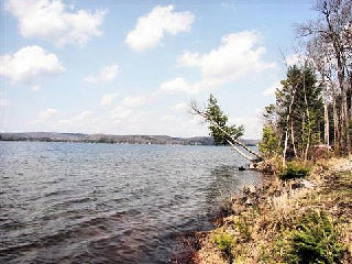 1069 Steeplechase Dr, Haliburton Maple Lake