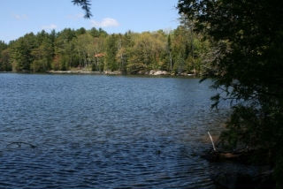 2463 county road 620, North Kawartha Ontario, Canada