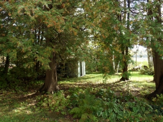 191 Fifes Bay Rd, Smith-ennismore-lakefield Township Ontario