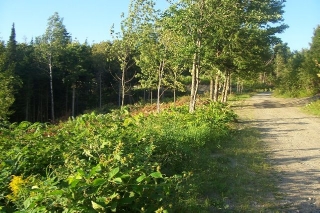 Lot 10-3 Archange Way, Keswick Ridge New Brunswick