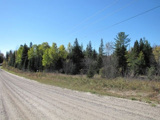 highway 518  east, Emsdale Ontario, Canada