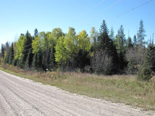 highway 518  east, Emsdale Ontario, Canada