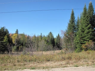 highway 518  east, Emsdale Ontario, Canada