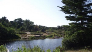 17 fire route #28 "worsley lane", Carling Ontario, Canada
