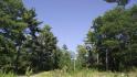17 fire route #28 "worsley lane", Carling Ontario, Canada