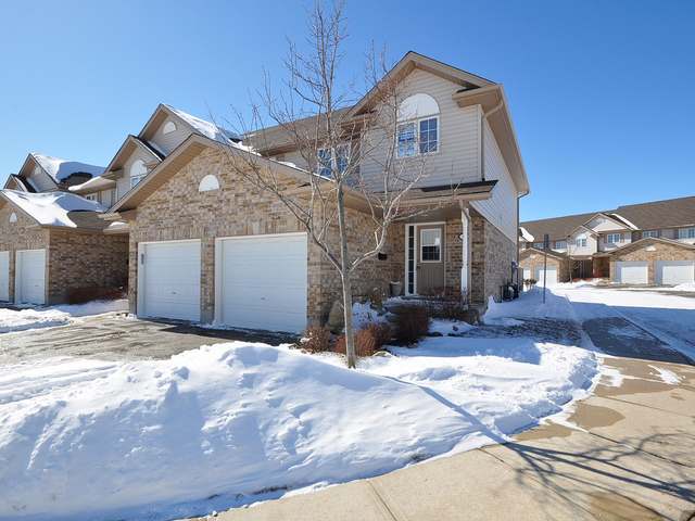 31 schroder crs 1, Guelph Ontario, Canada