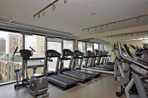 281 Mutual St, Toronto Ontario