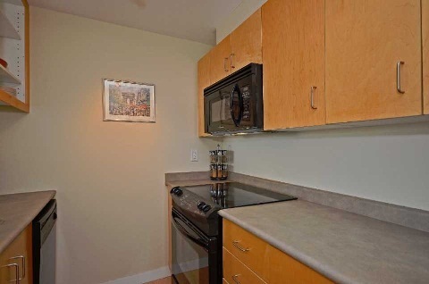 281 Mutual St, Toronto Ontario