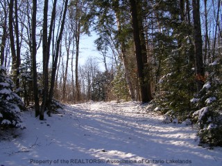 347 ROYSTON RD, Burk's Falls 