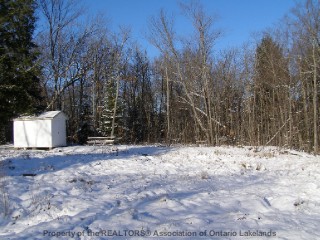347 ROYSTON RD, Burk's Falls Ontario, Canada