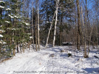 347 ROYSTON RD, Burk's Falls Ontario, Canada