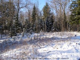 347 ROYSTON RD, Burk's Falls Ontario, Canada