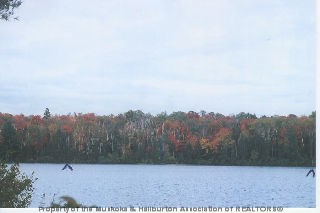 KING LAKE ROAD, South River King Lake